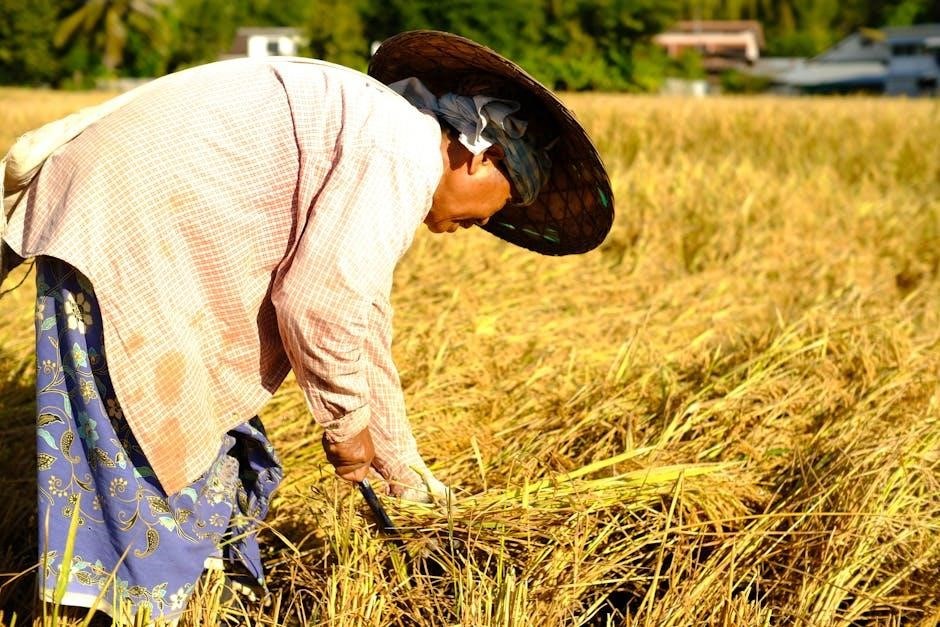 Mini Dash Rice Cooker Instructions | Easy Recipes & Tips